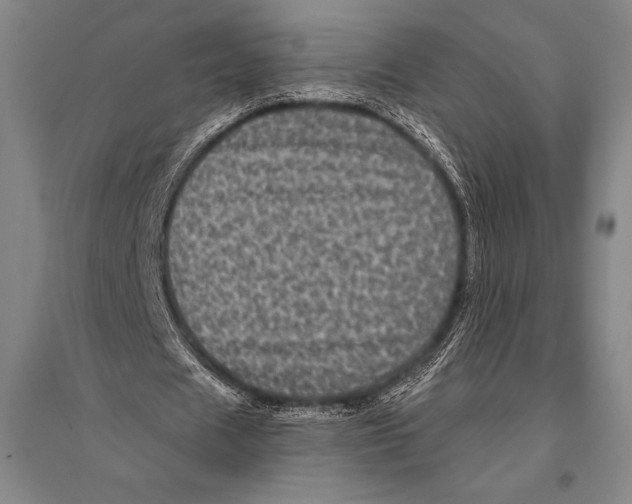 X0000094810625200712141623