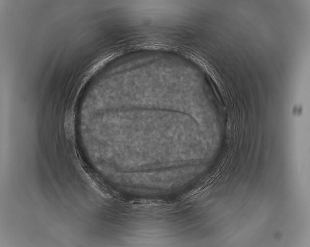 X0000094810626200712141623