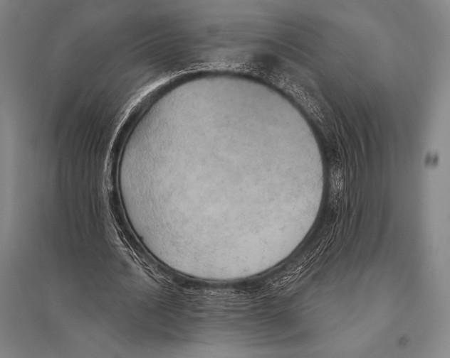 X0000094810628200712141623