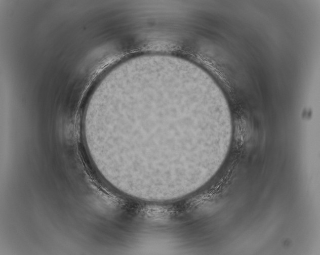 X0000094810632200712141623