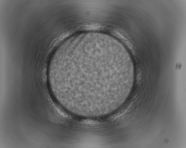 X0000094810633200712141623