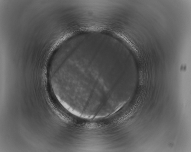 X0000094810634200712141623