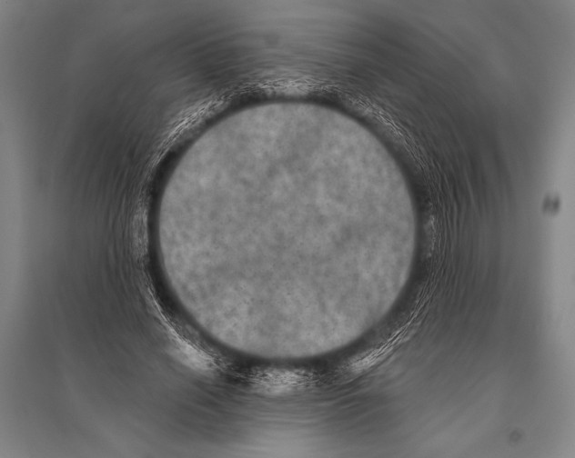 X0000094810638200712141623