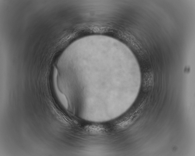 X0000094810639200712141623