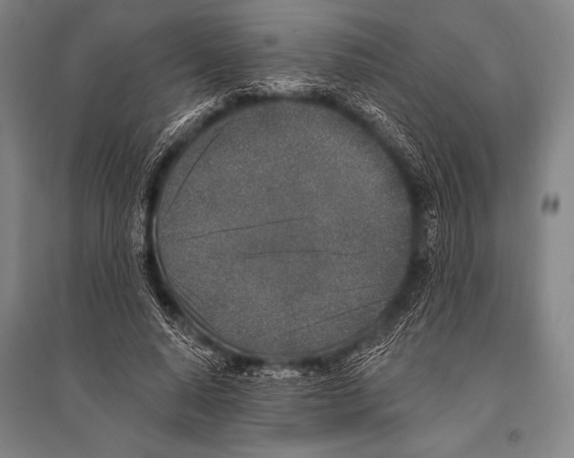 X0000094810640200712141623