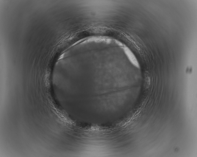 X0000094810641200712141623