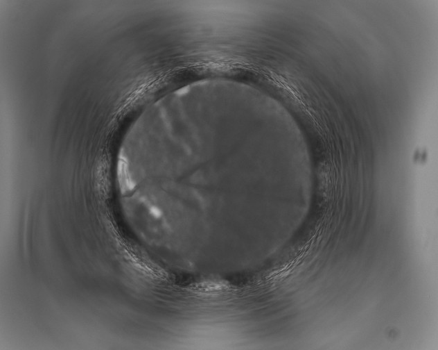 X0000094810642200712141623