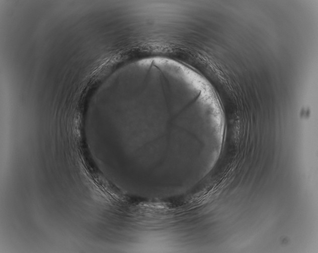 X0000094810643200712141623