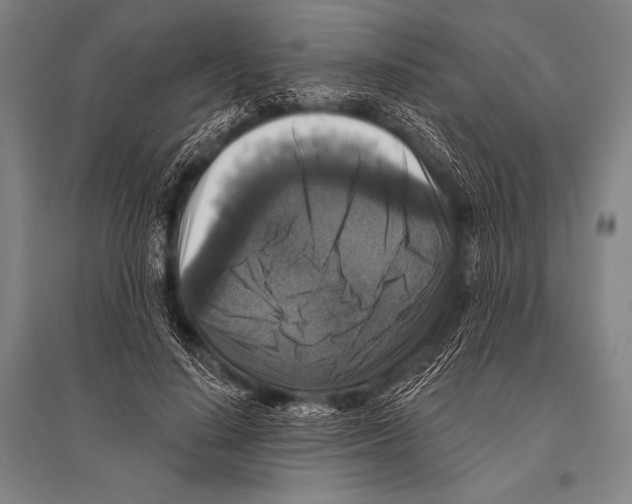 X0000094810644200712141623