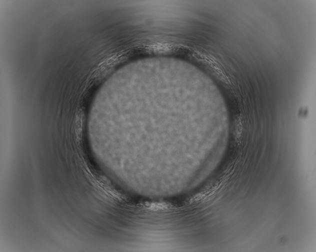 X0000094810645200712141623