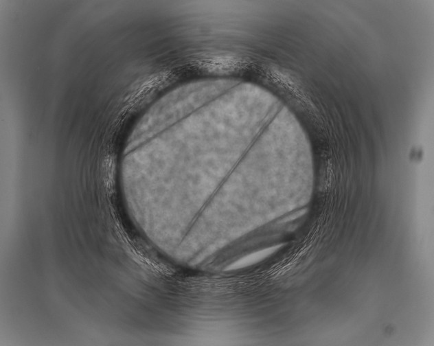 X0000094810646200712141623