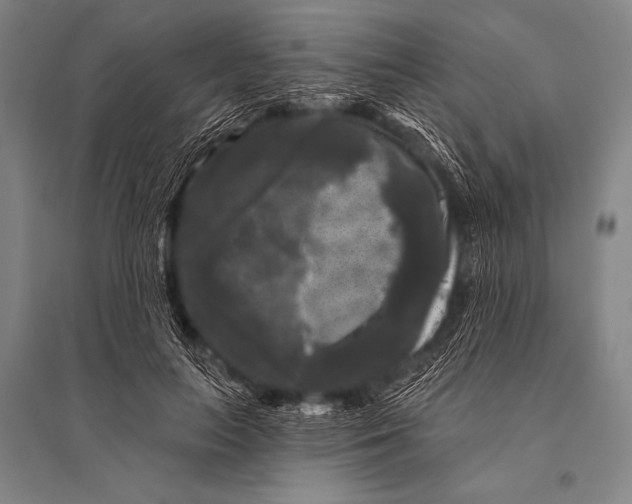 X0000094810647200712141623