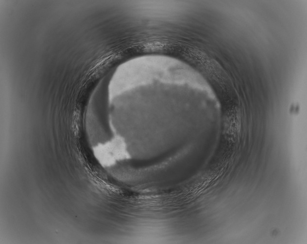 X0000094810648200712141623