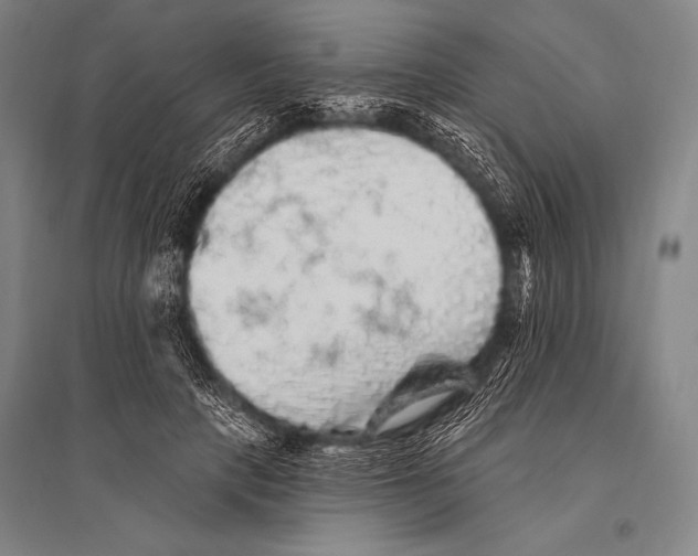 X0000094810649200712141623