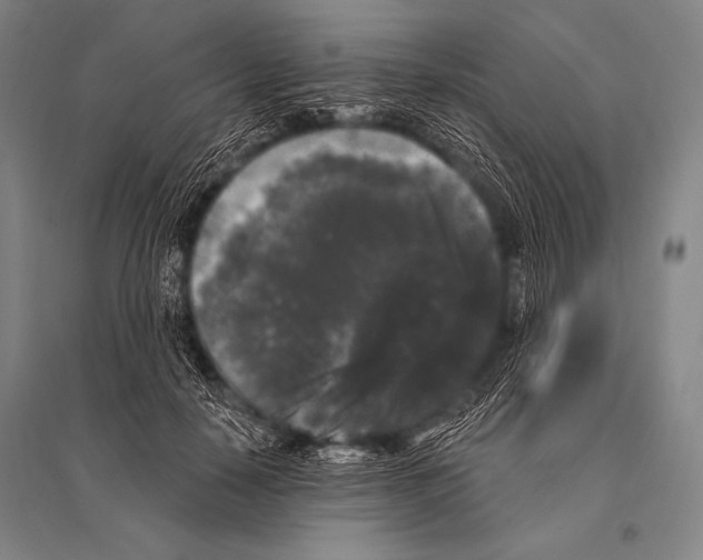 X0000094810650200712141623