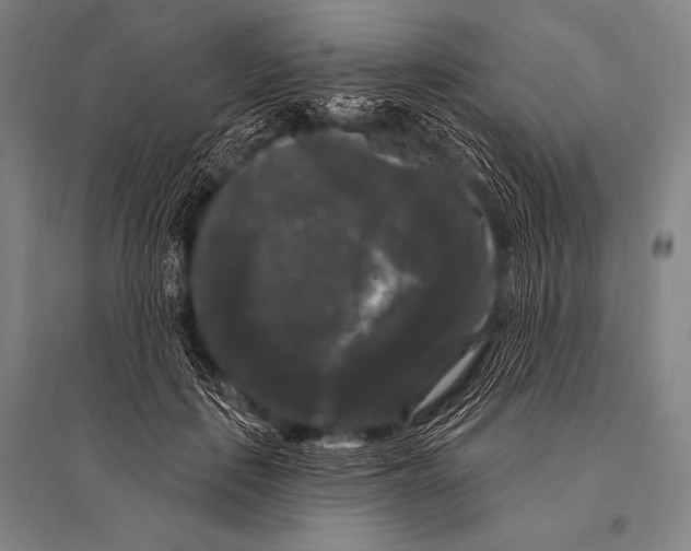 X0000094810651200712141623