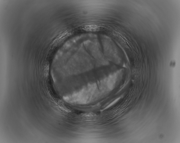 X0000094810652200712141623