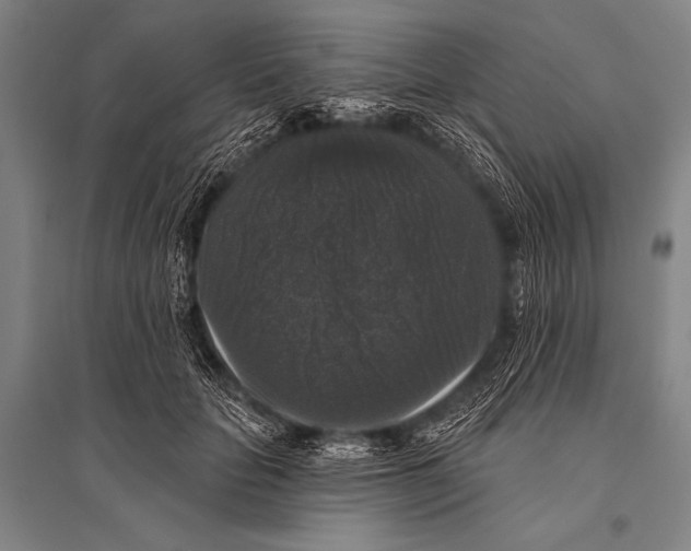 X0000094810653200712141623