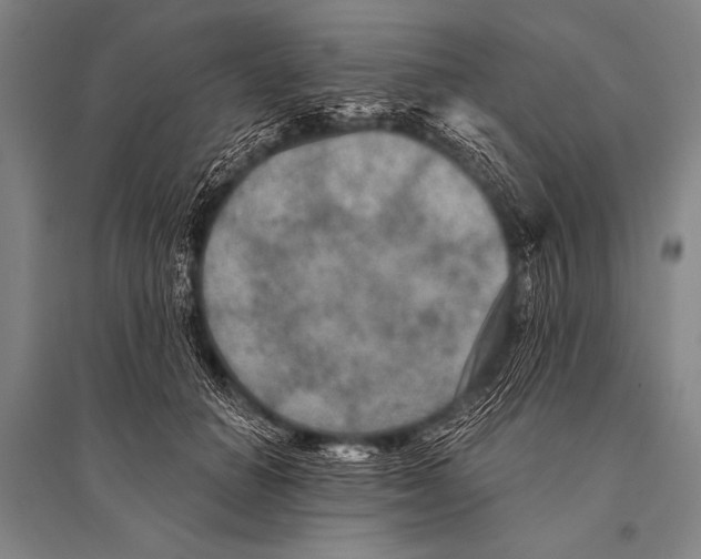 X0000094810654200712141623