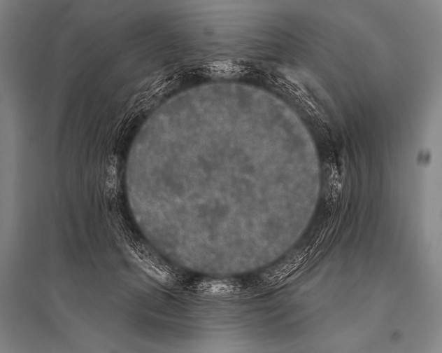 X0000094810655200712141623