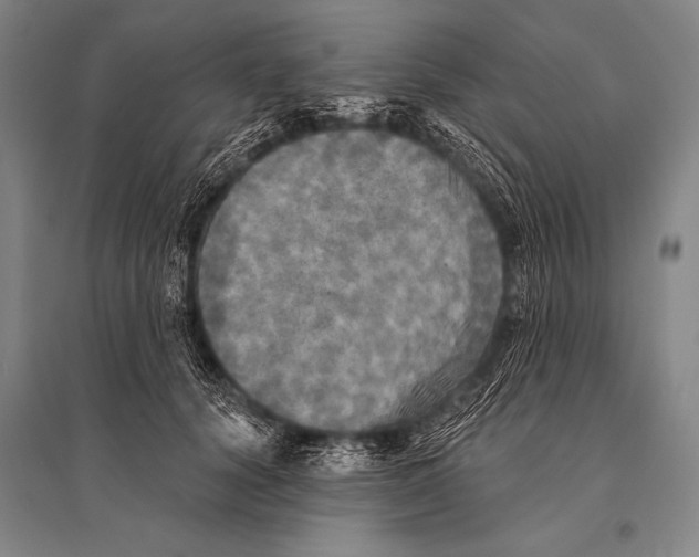 X0000094810656200712141623