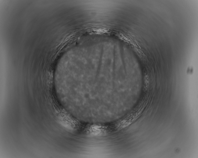 X0000094810657200712141623