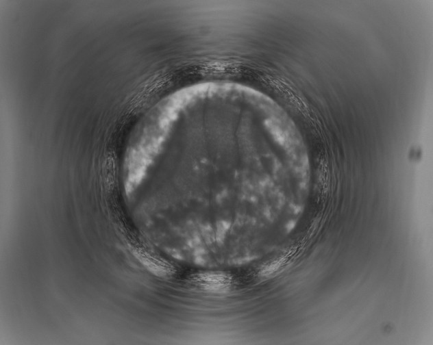 X0000094810659200712141623