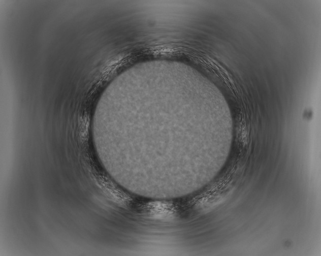 X0000094810660200712141623