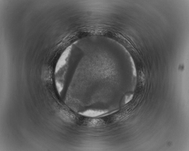 X0000094810663200712141623