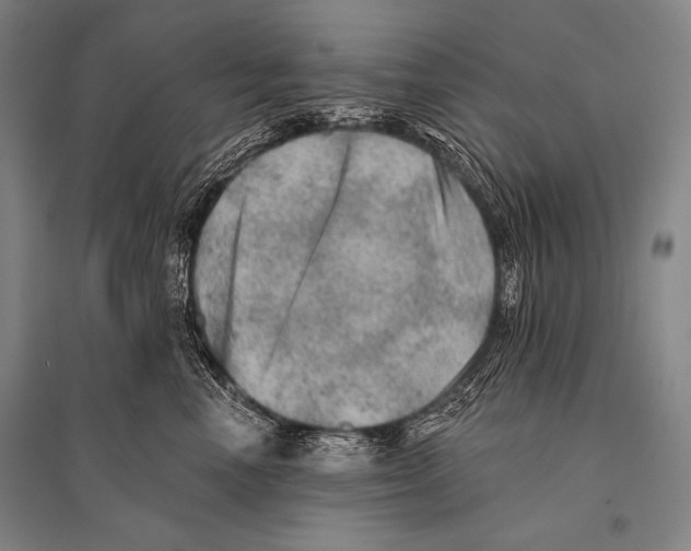 X0000094810666200712141623