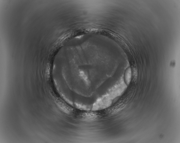 X0000094810668200712141623