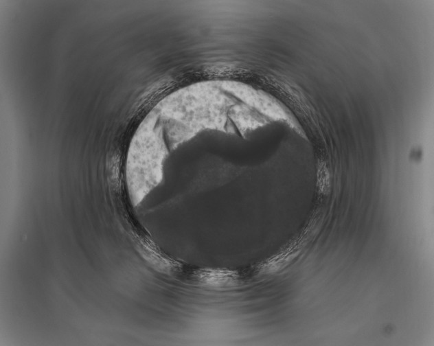 X0000094810670200712141623