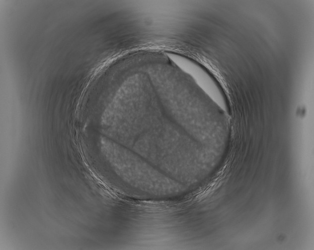 X0000094810673200712141623