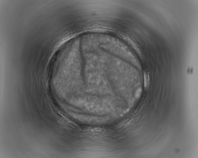 X0000094810675200712141623