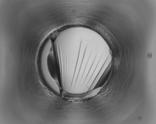 X0000094810676200712141623