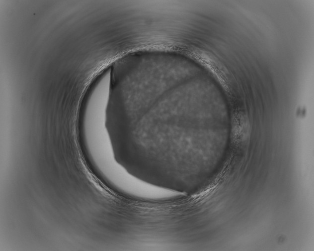 X0000094810677200712141623