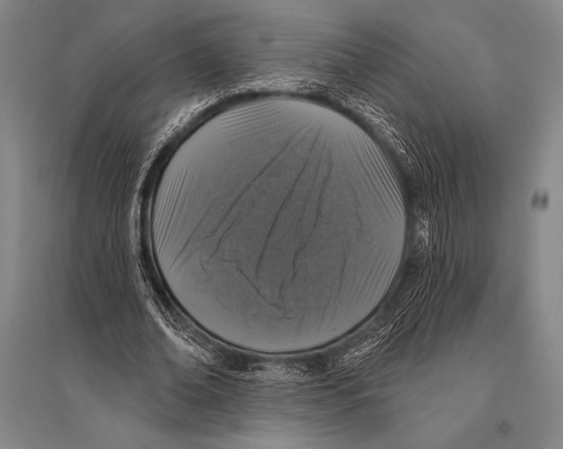 X0000094810678200712141623