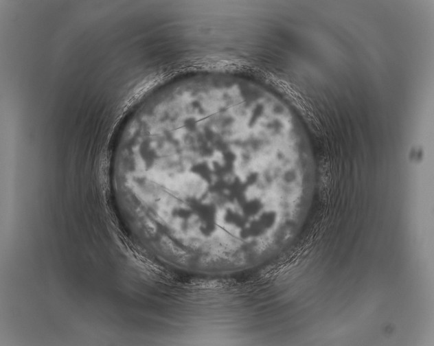 X0000094810679200712141623