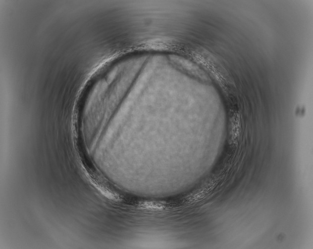 X0000094810680200712141623