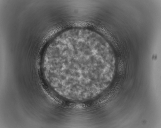 X0000094810683200712141623