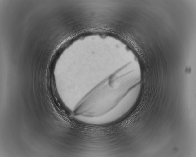 X0000094810684200712141623