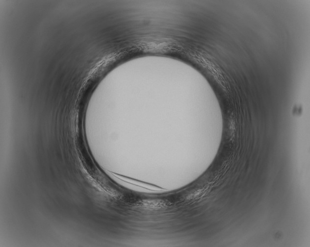 X0000094810686200712141622