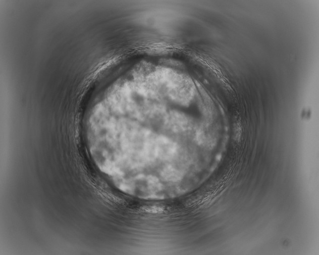 X0000094810687200712141622