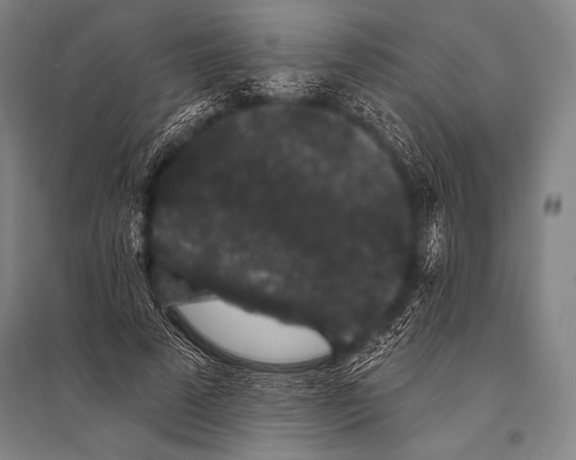 X0000094810689200712141622