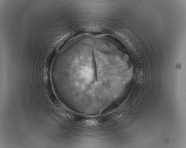 X0000094810692200712141622