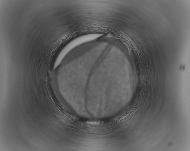 X0000094810693200712141622