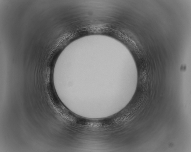 X0000094810694200712141622