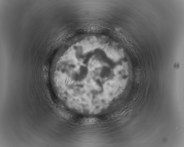 X0000094810695200712141622