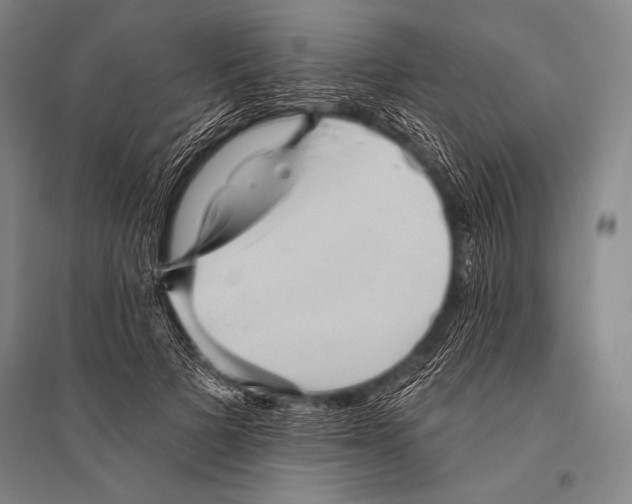 X0000094810697200712141622