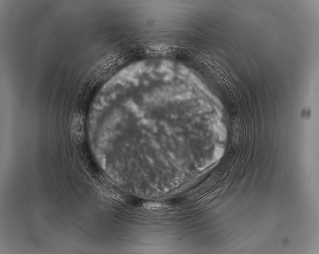 X0000094810699200712141622